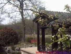 ������ɫ