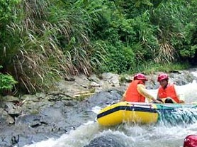 ������Ư��