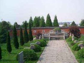 �ڽ�������