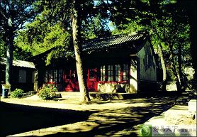 ����Ӫ��ַ