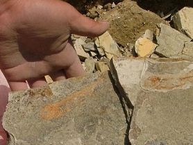 �ܿڵ��㻯ʯ����