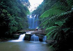 ����̶�羰��