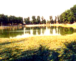 ���ж�̫Һ����ַ