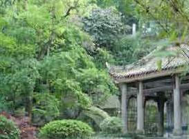 ��Ȫ�羰��