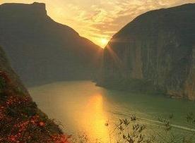 ������Ͽ����