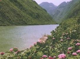 ǭ���羰��