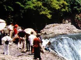 ��̶����