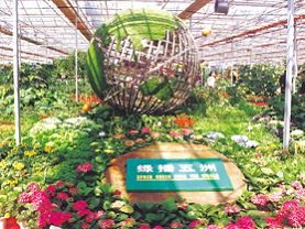 �麣ũ�����