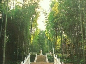 龙潭国家森林公园