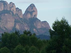 ���ɽɭ�ֹ�԰