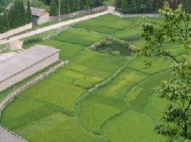 �����ͱ�