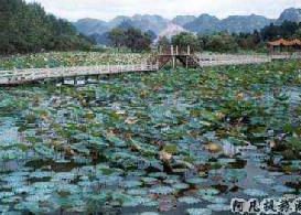 �����е�