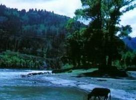 ��ɽ��Ȼ������