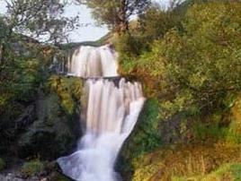 ��Ҵ��ɭ�ֹ�԰