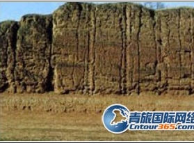 ���¶��ų�