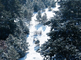 塞北滑雪场