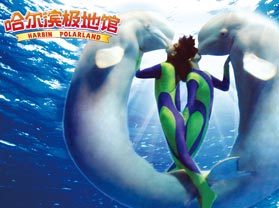 ���������ع�