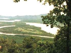 珍宝岛
