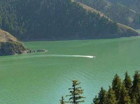 �����а׺�������