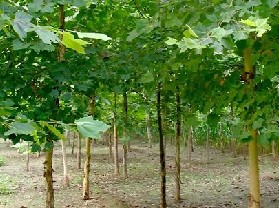 ��Ķ�̻���