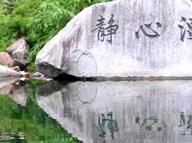 ���﹵����