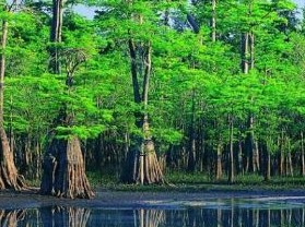 ��ũ�ܺ�ƺ����