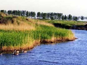 ��ʪ�ر�����