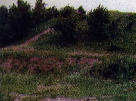 ƫ������ַ