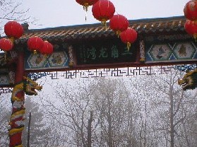 ������Ҽ�ɭ�ֹ�԰