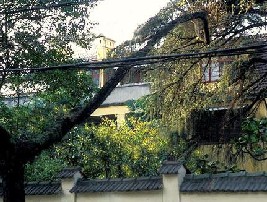 �ú�·������