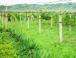 ���ұ�ũҵ��̬԰