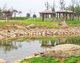 ������ֲ̬��԰