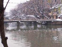 ɽ������