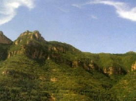 ���ҹ���ɭ�ֹ�԰