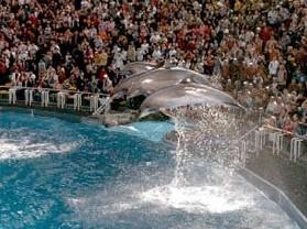 ��������ݹ�