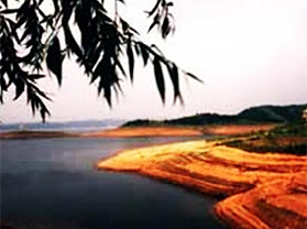 �������ʡ�����ζȼ���