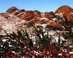 ����ɽ��԰���ξ���