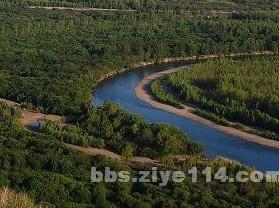 额尔古纳河湿地