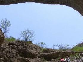 �¿���������