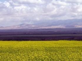 ����̲��ԭ