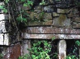 ��ˮ���ĹȺ