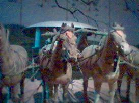 ��а����˾��������Ĺ