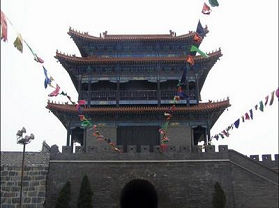 振扬门