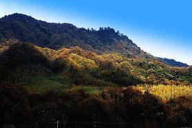 ��ɽ����ɭ�ֹ�԰