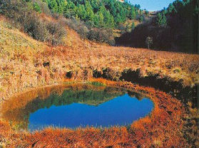 ���Դ����