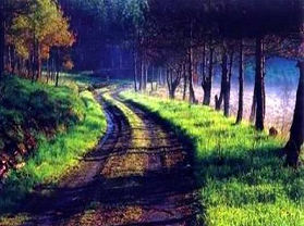 ������ǧ��ƺɭ�ֹ�԰