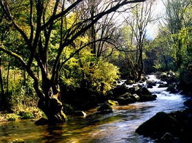 ���꽭����֮һ������̶