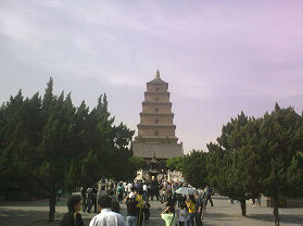 ��ȶ��´������羰��