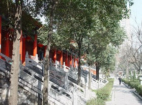 西安大兴善寺