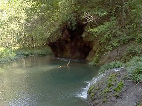 ����Ư��